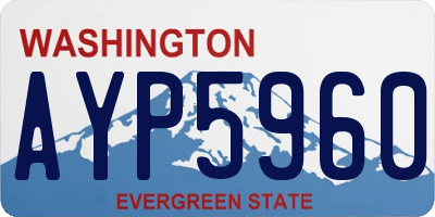 WA license plate AYP5960