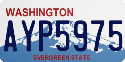 WA license plate AYP5975