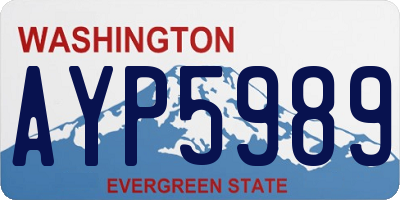 WA license plate AYP5989