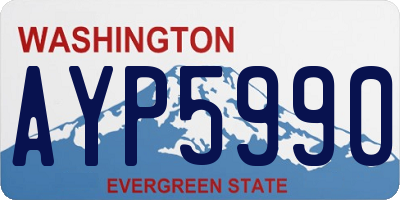 WA license plate AYP5990