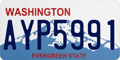 WA license plate AYP5991