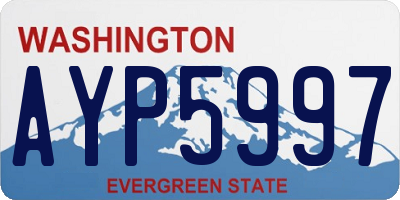 WA license plate AYP5997