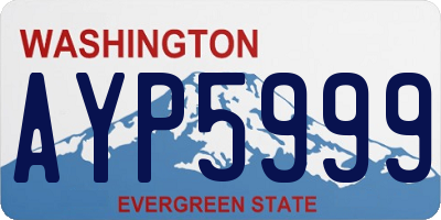 WA license plate AYP5999