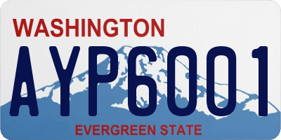 WA license plate AYP6001