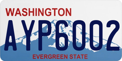 WA license plate AYP6002