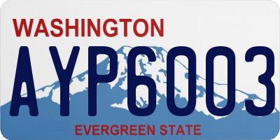 WA license plate AYP6003