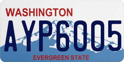 WA license plate AYP6005