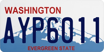 WA license plate AYP6011