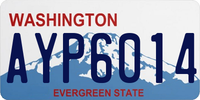 WA license plate AYP6014