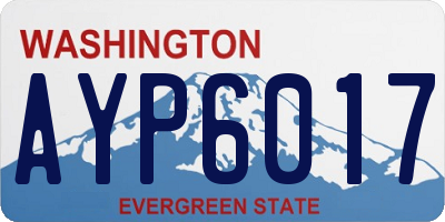WA license plate AYP6017