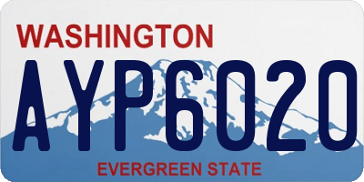 WA license plate AYP6020