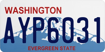WA license plate AYP6031
