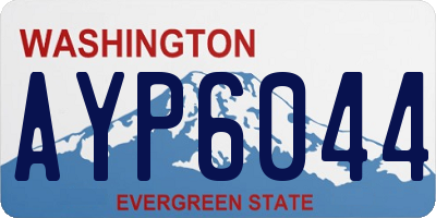 WA license plate AYP6044