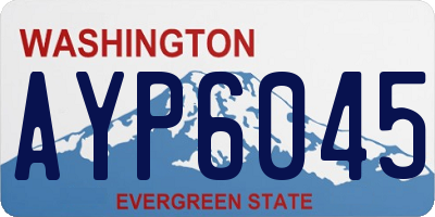 WA license plate AYP6045