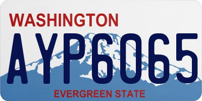 WA license plate AYP6065