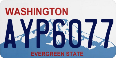 WA license plate AYP6077