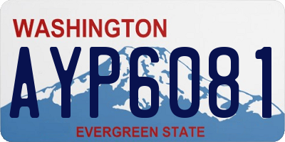 WA license plate AYP6081