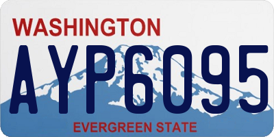 WA license plate AYP6095