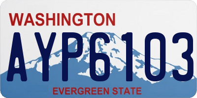 WA license plate AYP6103