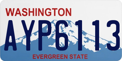 WA license plate AYP6113