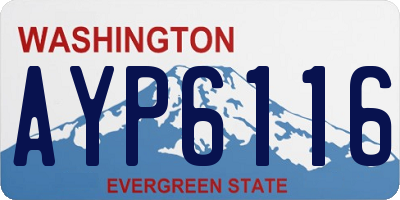 WA license plate AYP6116
