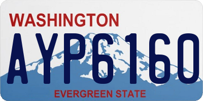 WA license plate AYP6160