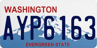 WA license plate AYP6163