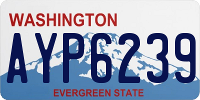 WA license plate AYP6239