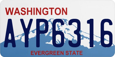 WA license plate AYP6316