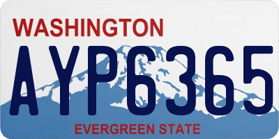 WA license plate AYP6365