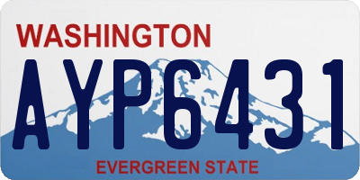 WA license plate AYP6431