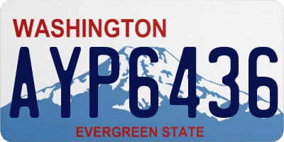 WA license plate AYP6436