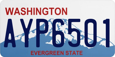 WA license plate AYP6501