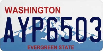 WA license plate AYP6503