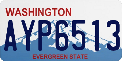 WA license plate AYP6513