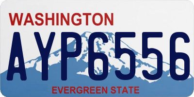 WA license plate AYP6556