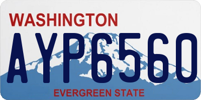 WA license plate AYP6560