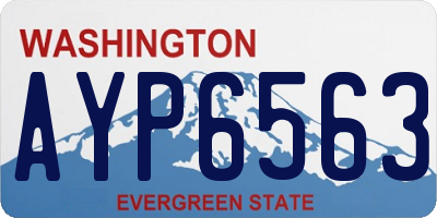 WA license plate AYP6563