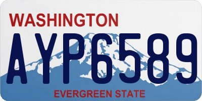 WA license plate AYP6589