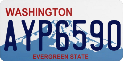 WA license plate AYP6590