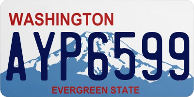WA license plate AYP6599