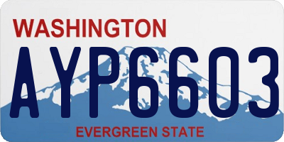 WA license plate AYP6603
