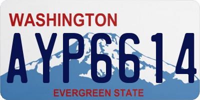 WA license plate AYP6614