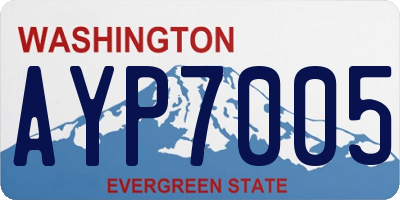 WA license plate AYP7005