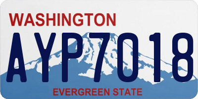 WA license plate AYP7018
