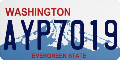 WA license plate AYP7019