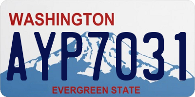WA license plate AYP7031