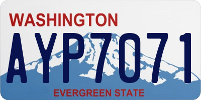 WA license plate AYP7071