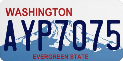 WA license plate AYP7075