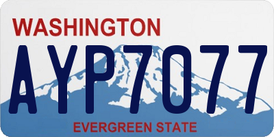 WA license plate AYP7077